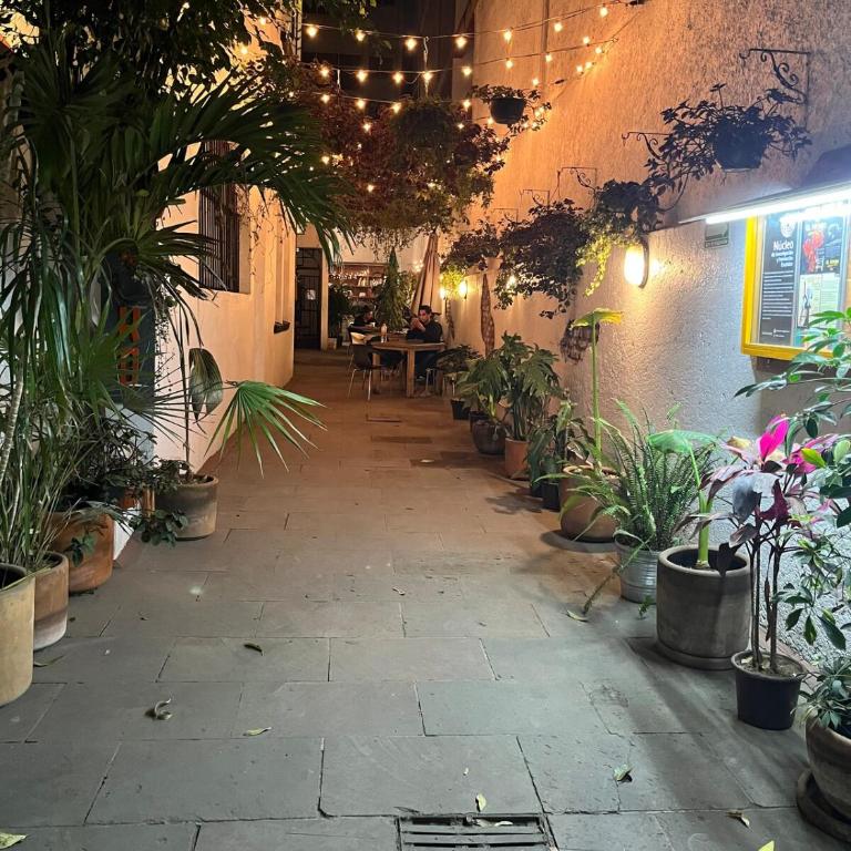 Mini loft with a small terrace en Condesa - One-Bedroom Apartment - 7