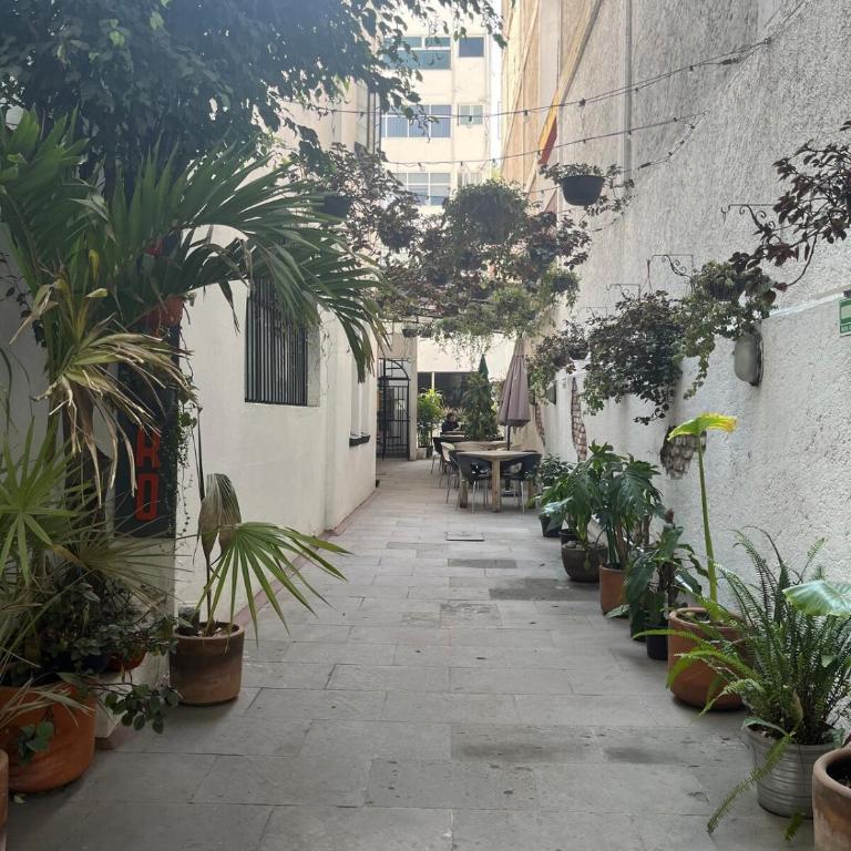 Mini loft with a small terrace en Condesa - One-Bedroom Apartment - 11
