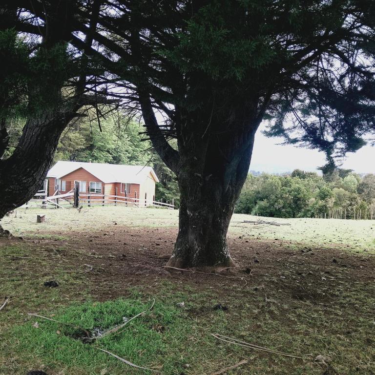 Agroturismo Silvestre Marly - Four-Bedroom House - 1
