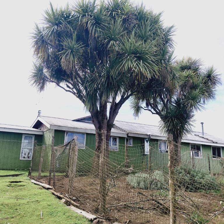 Agroturismo Silvestre Marly - Four-Bedroom House - 5