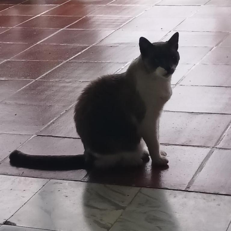 Cabaña Villa La Morena, apartamento rural independiente - Two-Bedroom House - 28