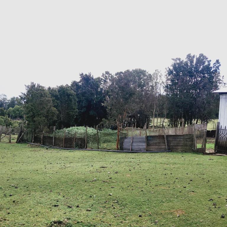 Agroturismo Silvestre Marly - Four-Bedroom House - 15