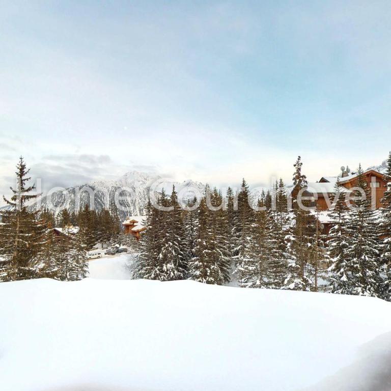 Courchevel 1850, 4 chambres, 8 pers, accès pistes, parking - FR-1-575-222 - Appartement - 7