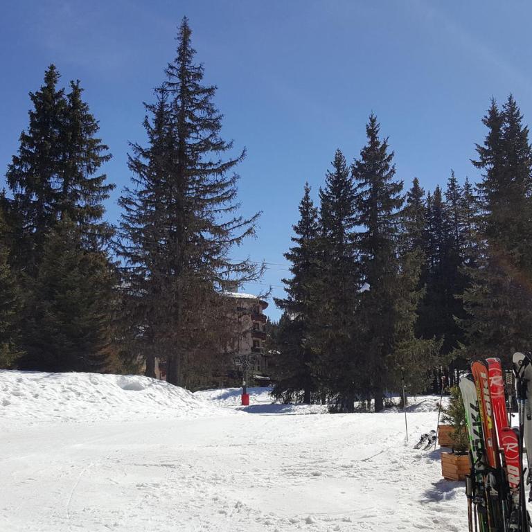 Courchevel 1850, 4 chambres, 8 pers, accès pistes, parking - FR-1-575-222 - Appartement - 8