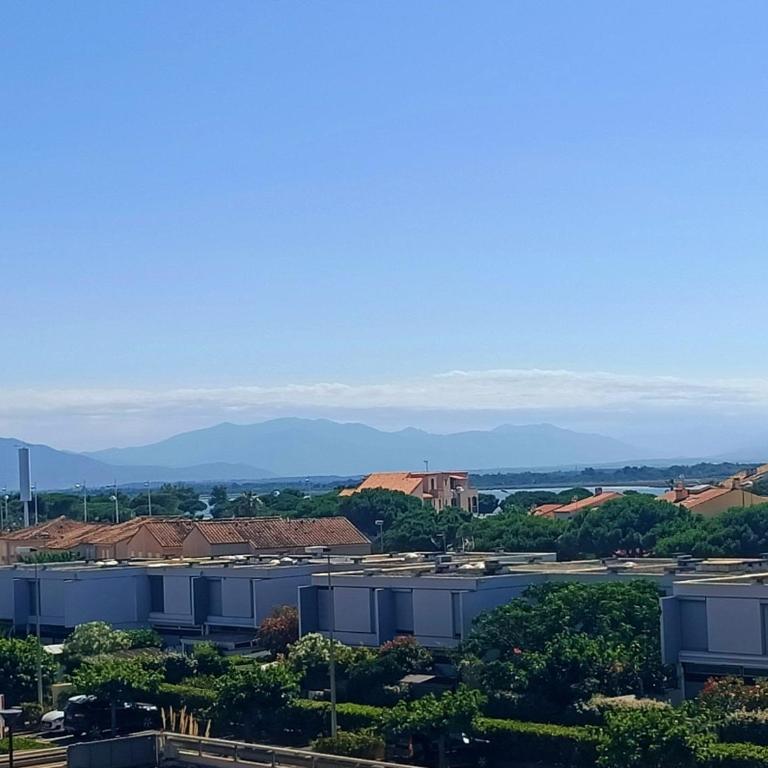 Canet-en-Roussillon: Charmant T2 avec Clim et Parking, Plage à Proximité! - FR-1-794-163 - Appartement - 17