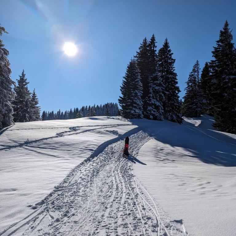 Ferienwohnung AlpenAuszeit im Allgäu - Apartment mit 1 Schlafzimmer - 28