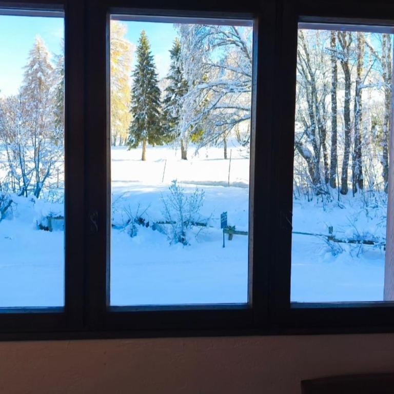 Appartement cosy avec piscine ski à proximité - Appartement - 6