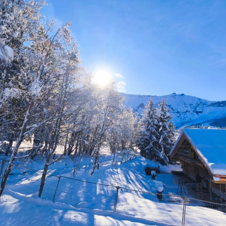 Appartement cosy avec piscine ski à proximité - Appartement - 9