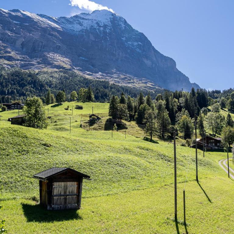 Chalet Studen - Chalet Studen - 53