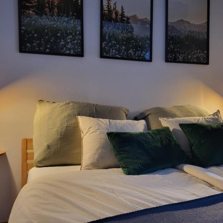 Ferienhäuser & Ferienwohnungen Hartenstein - Apartment mit 2 Schlafzimmern - 7