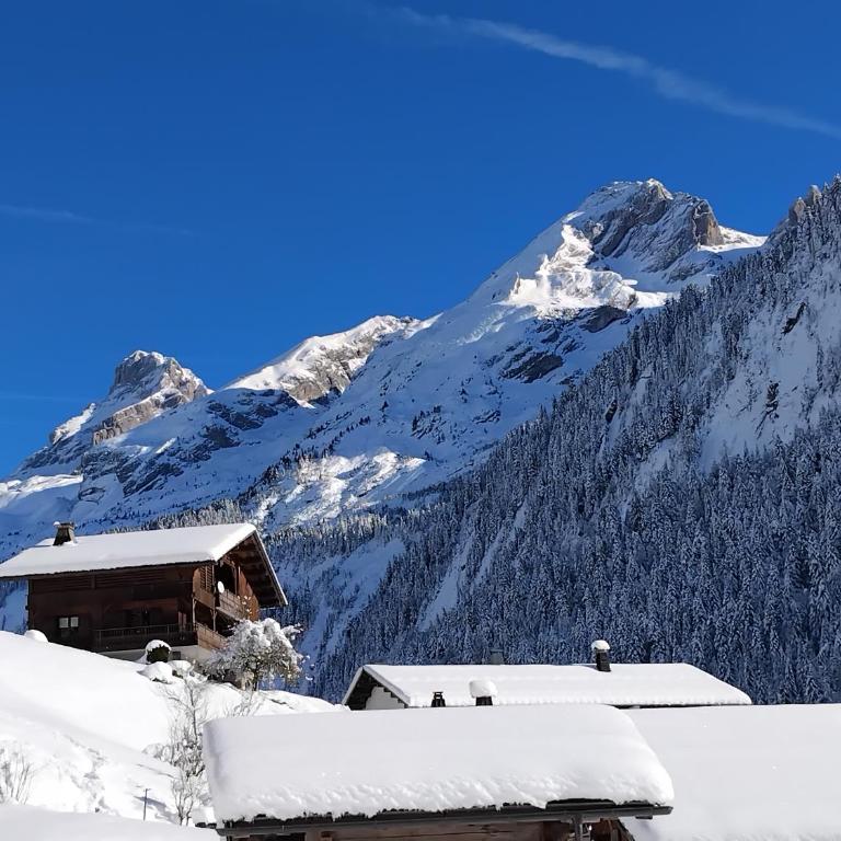 Le balcon de la pointe percée - Chalet - 26