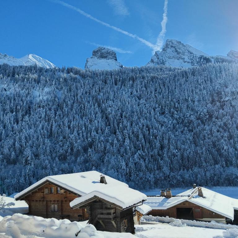 Le balcon de la pointe percée - Chalet - 27