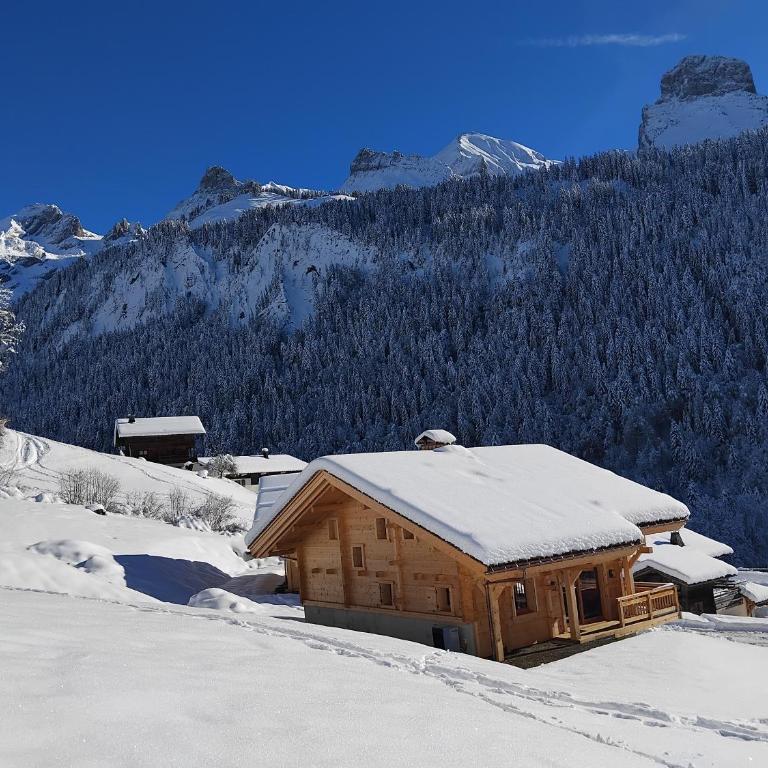 Le balcon de la pointe percée - Chalet - 29