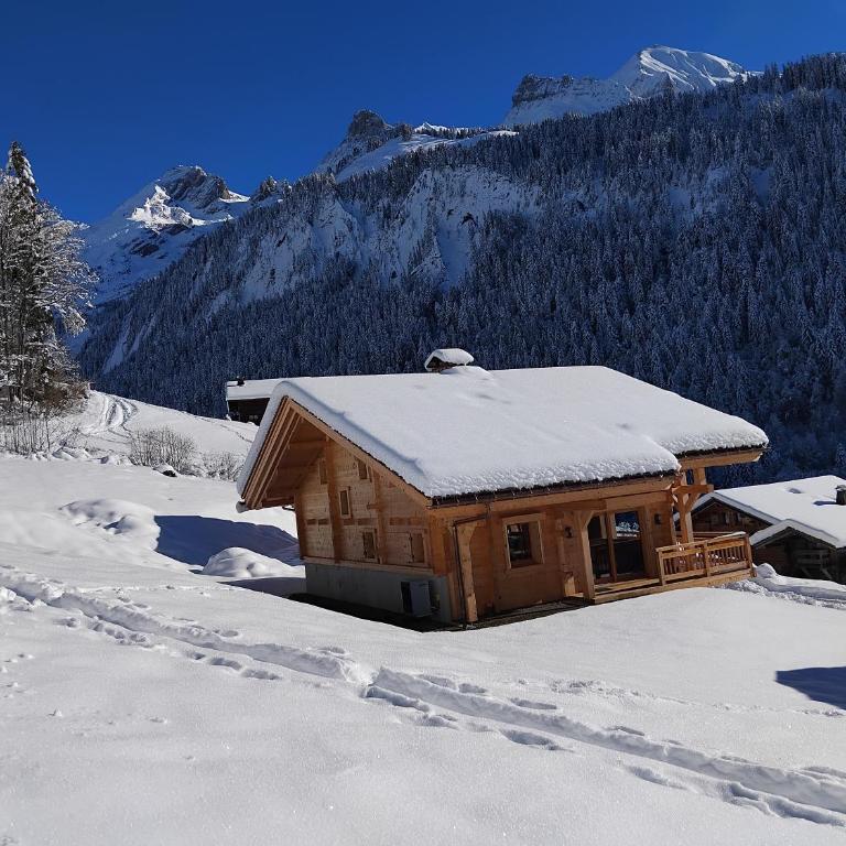 Le balcon de la pointe percée - Chalet - 3