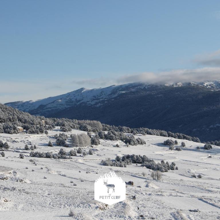 Le Petit Ours & Le Petit Cerf - Studios vue lac & montagnes - Studio mit Bergblick - 8