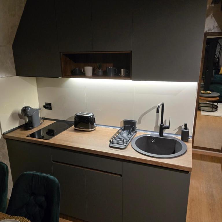 ZEN Luxury Houses & Spa - Vila sa 1 Spavaćom Sobom - 33