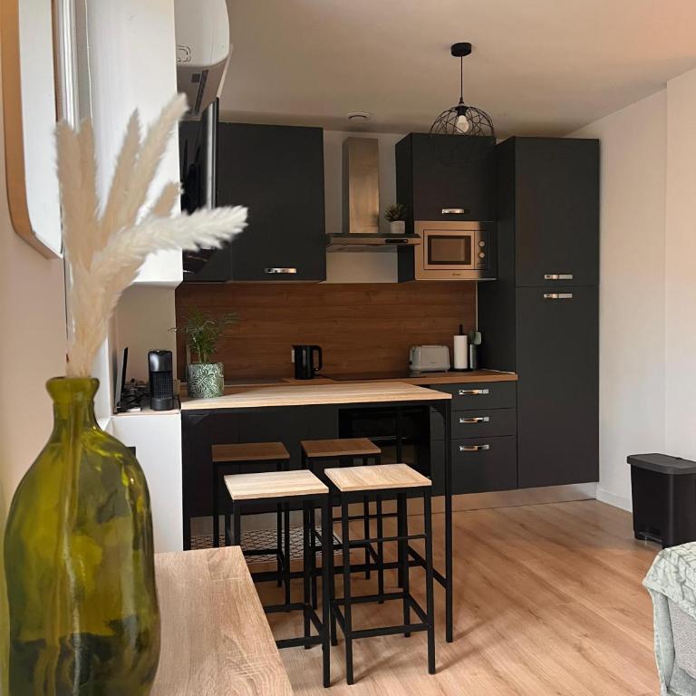 Cozy studio in Aix-les-Bains - Apartamento de 1 dormitorio - 3