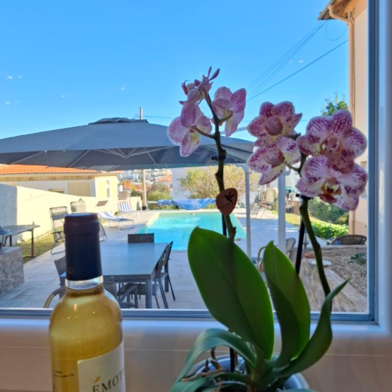 Studio de la Villa Thérèse, Piscine & Jardin - Appartement 1 Chambre - 11