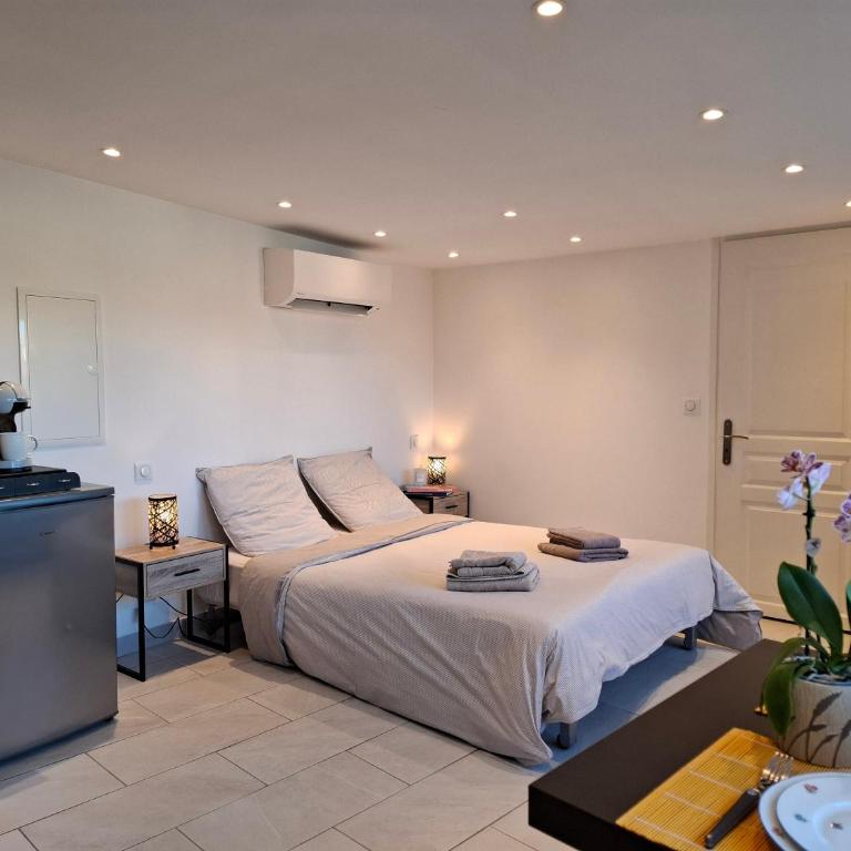 Studio de la Villa Thérèse, Piscine & Jardin - Appartement 1 Chambre - 13