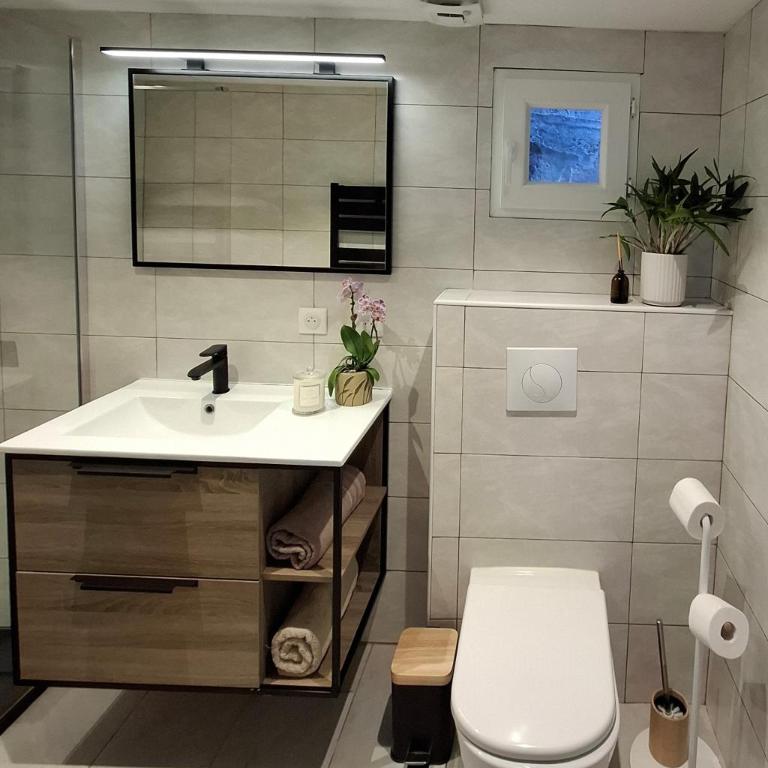 Studio de la Villa Thérèse, Piscine & Jardin - Appartement 1 Chambre - 21