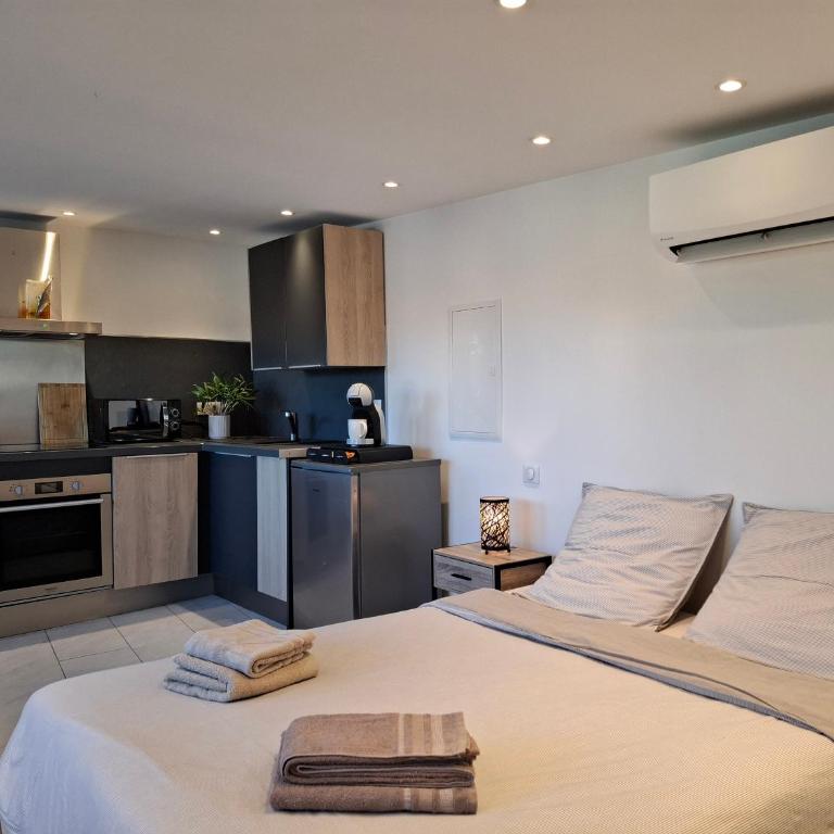Studio de la Villa Thérèse, Piscine & Jardin - Appartement 1 Chambre - 17