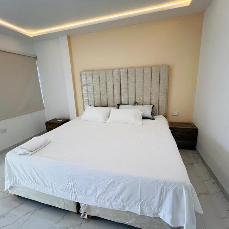 Penthouse Duplex Apartment in Ciudad 2000 - One-Bedroom Apartment - 16