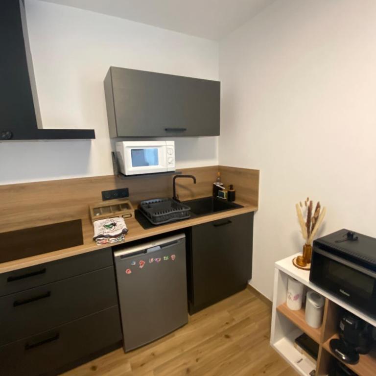 La Pomme de Pin - T1 Calme et Central - Meublé de Tourisme classé 2 étoiles - One-Bedroom Apartment - 4