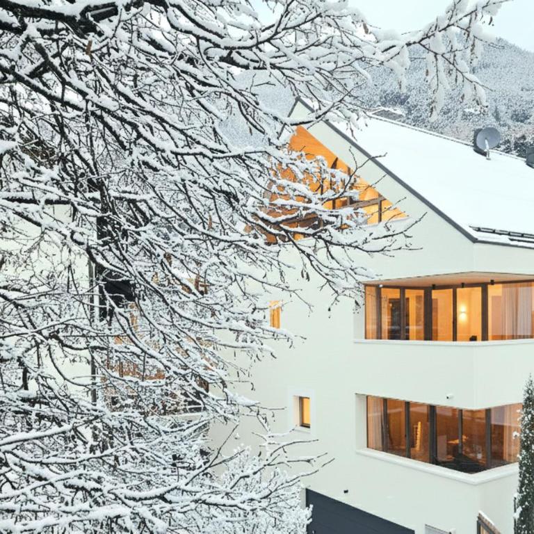 Kreithner luxury apartments - Appartamento con 1 Camera da Letto - 1