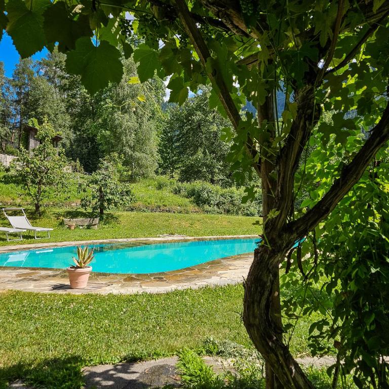Kreithner luxury apartments - Appartamento con 1 Camera da Letto - 8
