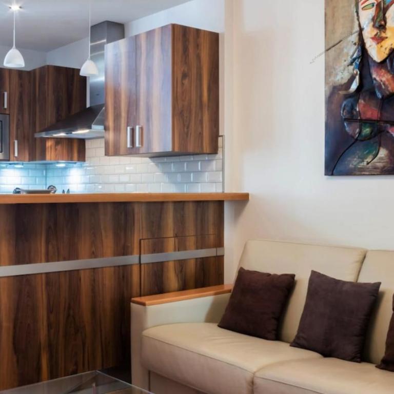Mont Blanc - Emplacement n1 au centre d'Annecy - Appartamento - 17
