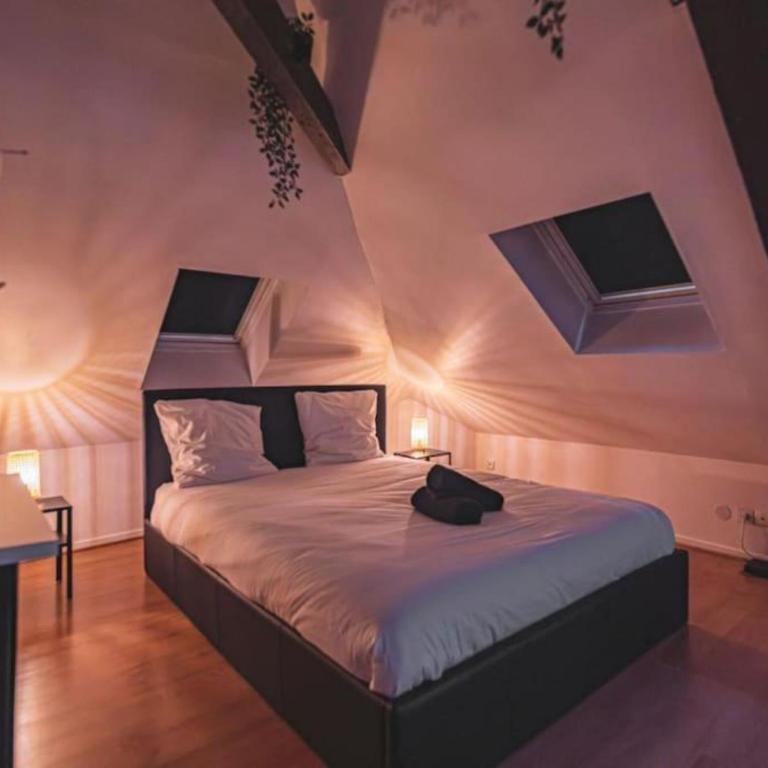 Lalique 540 Hypercentre - Appartamento con 1 Camera da Letto - 7