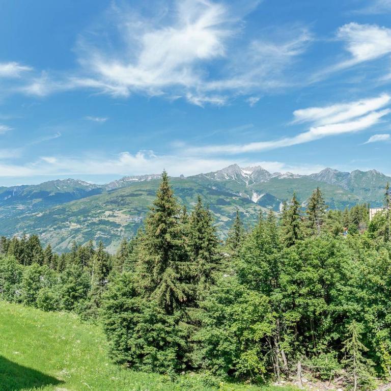Appartement moderne 3 chambres aux Arcs 1800 - FR-1-352-54 - Appartamento (8 Adulti) - 36
