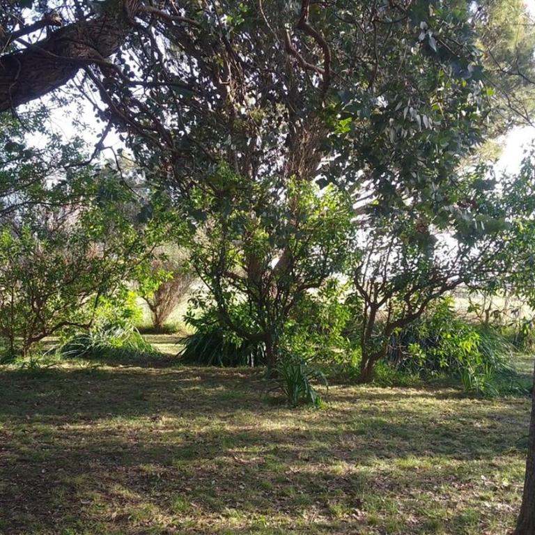 AmoVertecasadeveraneo - Casa de 2 dormitorios - 7