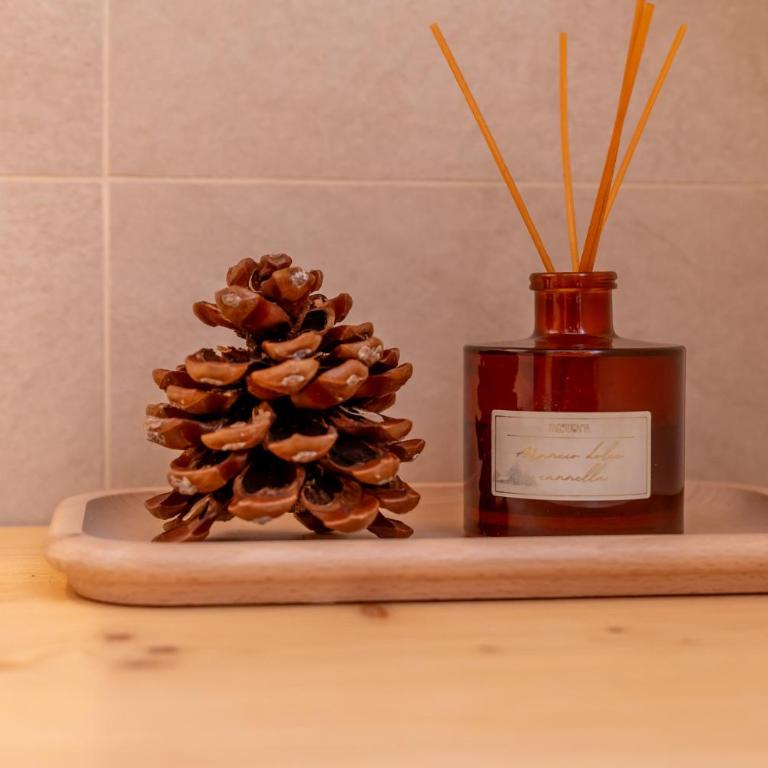 Alpine Nest - Appartamento su 2 Livelli - 29