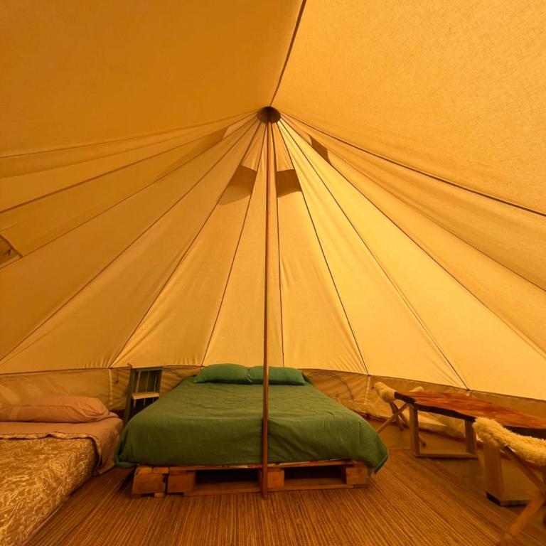 Glamping Peumayen carpintero - Tent - 2