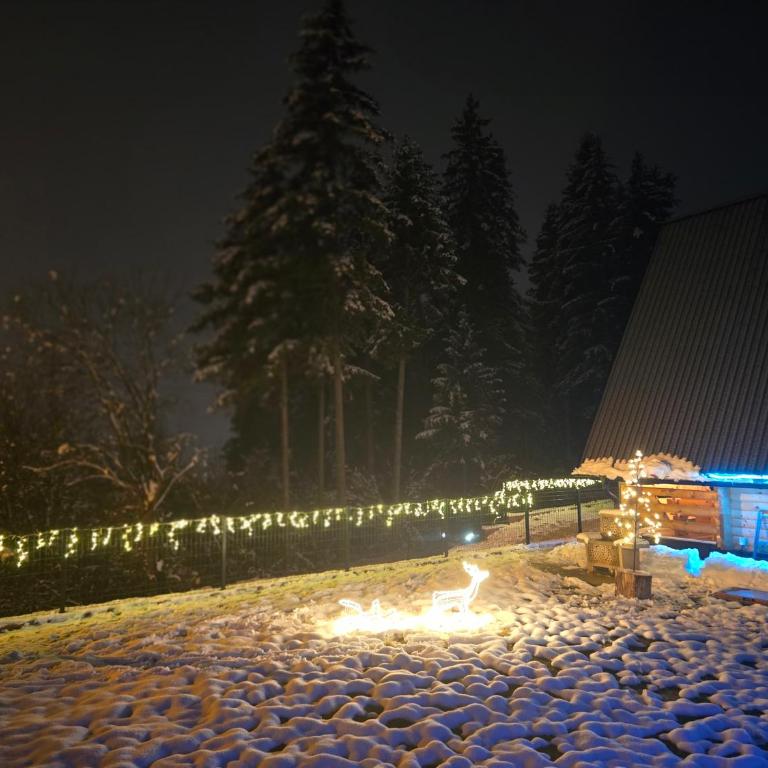 Vikendica Villa Marija Pale - One-Bedroom House - 70