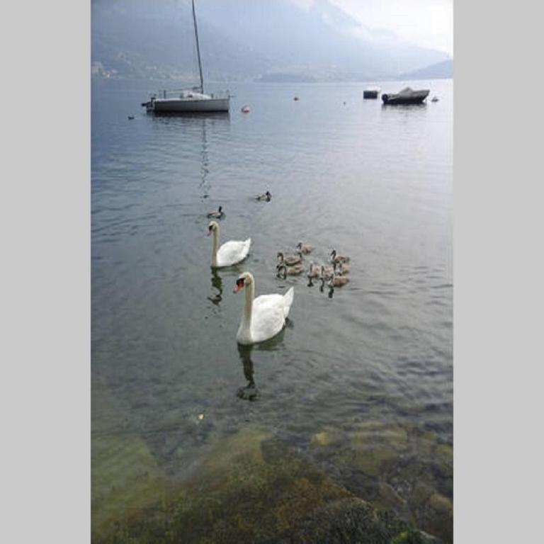 Appartamento vista Lago - Betta - Appartamento Mansardato con 2 Camere da Letto - 35