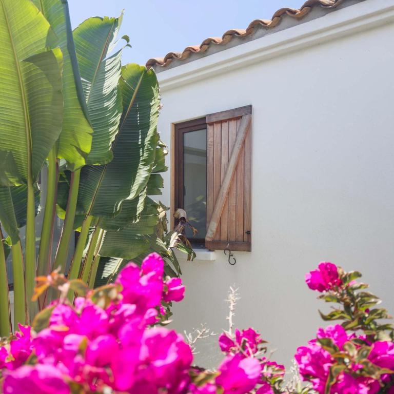 Casapueblo Rent Cachagua CP 02 - Vacation Home - 37
