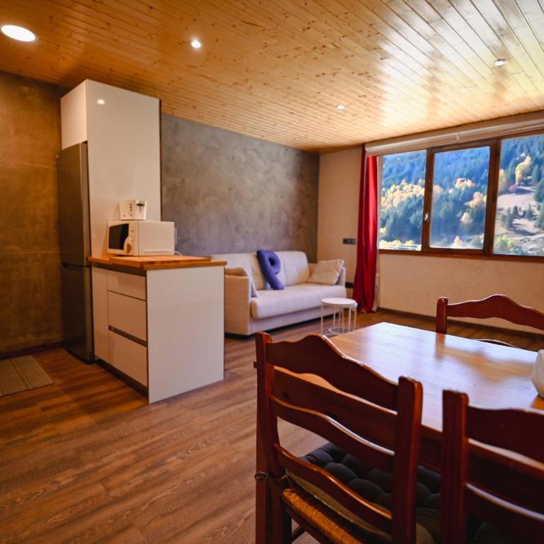 Acogedor Rincón de Ski I Paniquera - Apartamento de 1 dormitorio - 1
