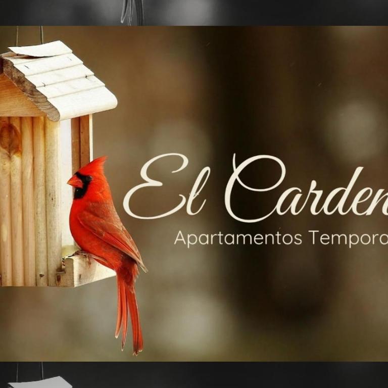 Departamento 3, El Cardenal, Sinsacate - One-Bedroom Apartment - 1