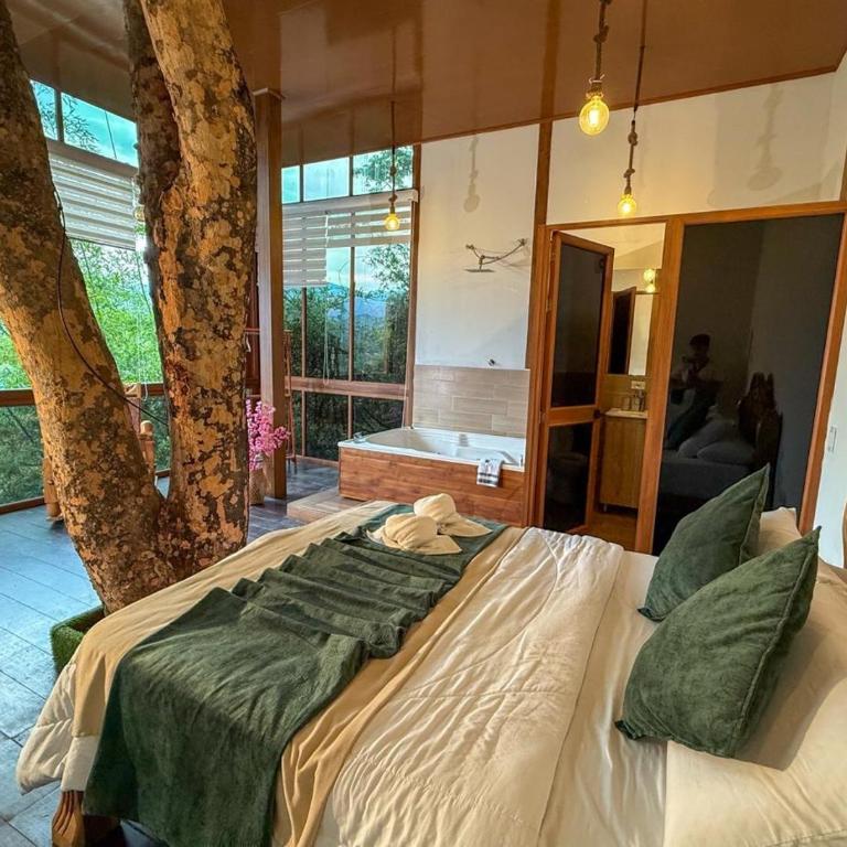 Ecohotel Alflo Inn - Suite Doble Estándar - 3