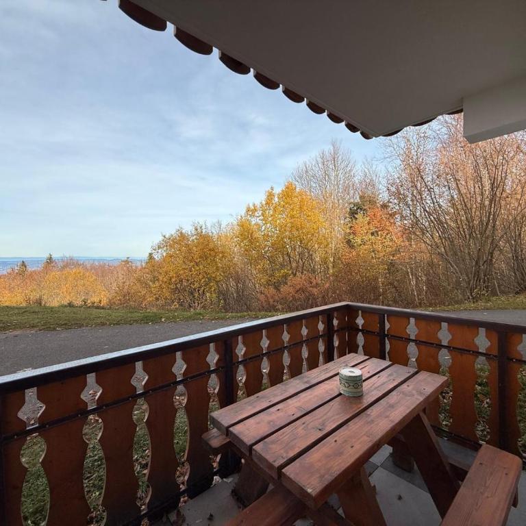 apptT2 station ski familiale - Appartement 2 Chambres - 5