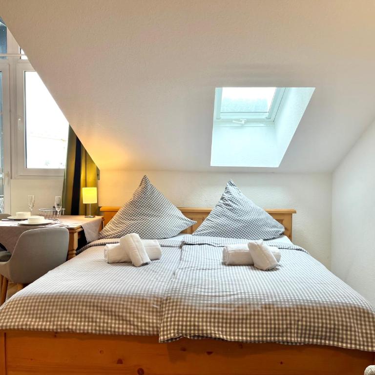Zickenstüble B19 Montana Haus - Studio-Apartment - 5