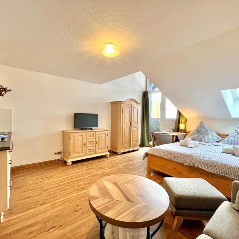 Zickenstüble B19 Montana Haus - Studio-Apartment - 3
