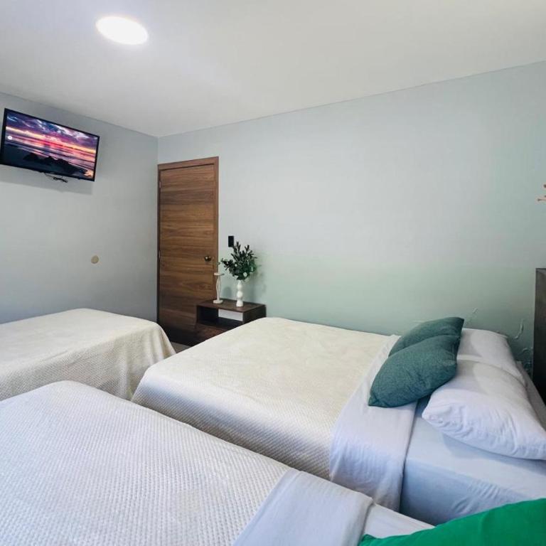 Apartment 5 with Jacuzzi in the center - 3 Bedroom 2 Bath - Apartment with View - 4