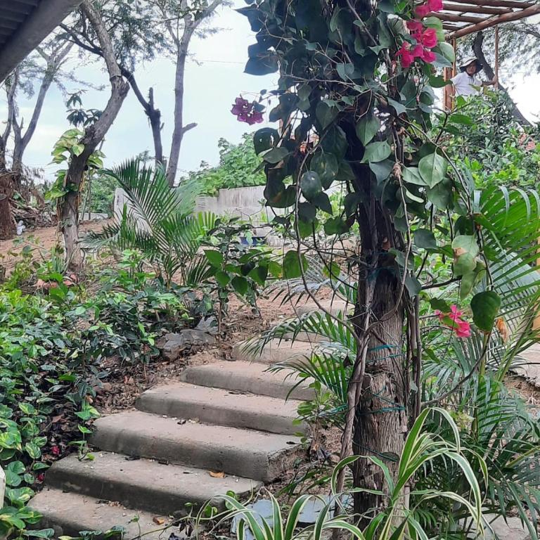 KAZA Balcones - Bungalow - 3