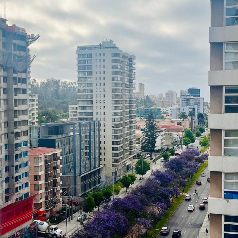 Alojamiento Entero en Centro de Viña del mar - Three-Bedroom Apartment - 17