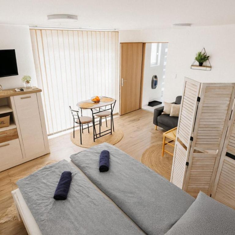 Ticina apartment - Deluks Studio - 4