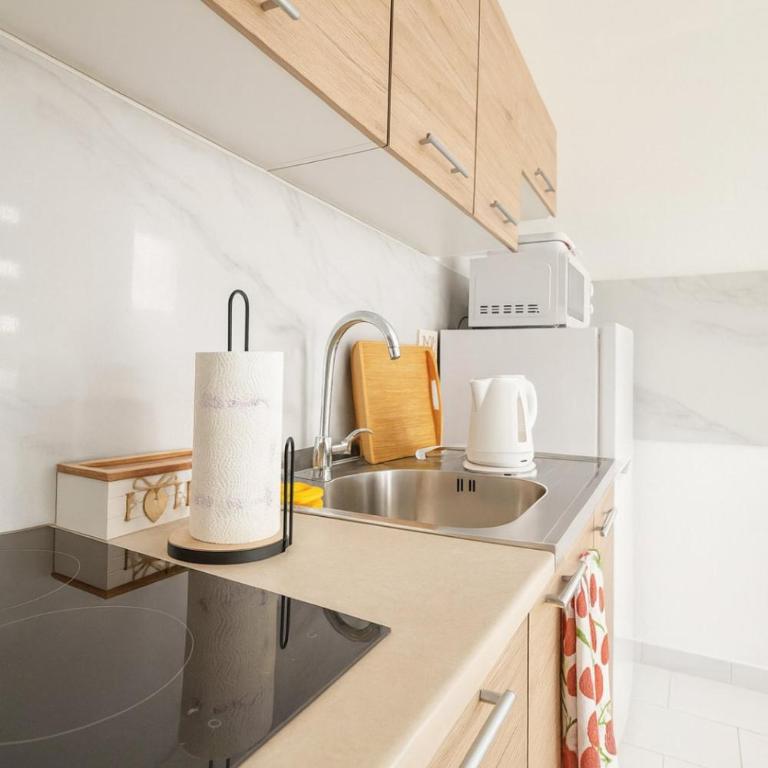 Ticina apartment - Deluks Studio - 3