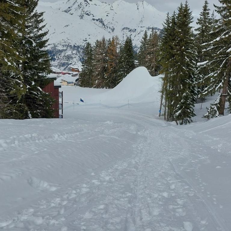 Cosy Duplex Arc1800 Aiguille Grive1 6 personnes - Appartement 2 Chambres - 48
